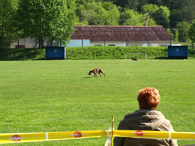 www.atibox.net * www.euroboxer.eu * www.boxergenealogia.eu